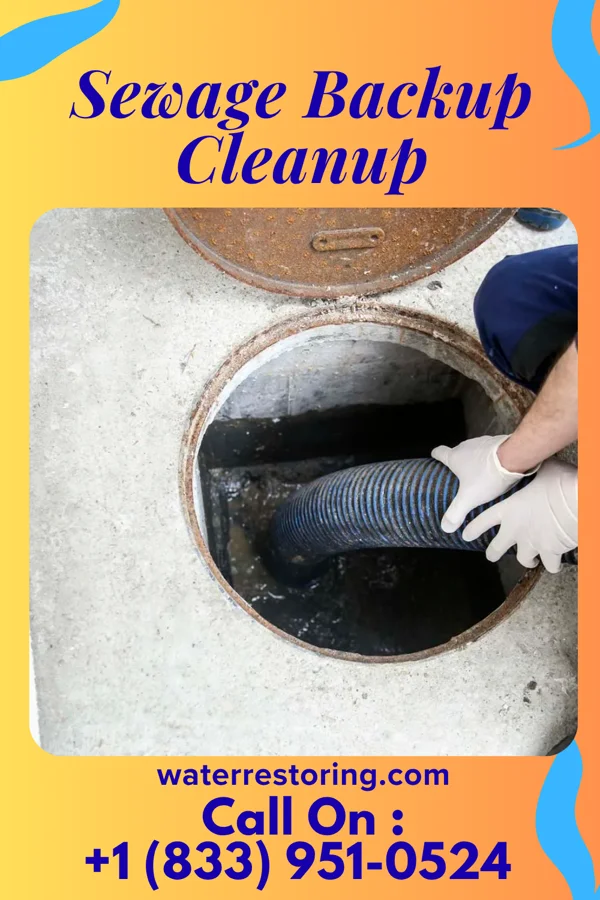 Sewage Backup Cleanup in Hartford, KY